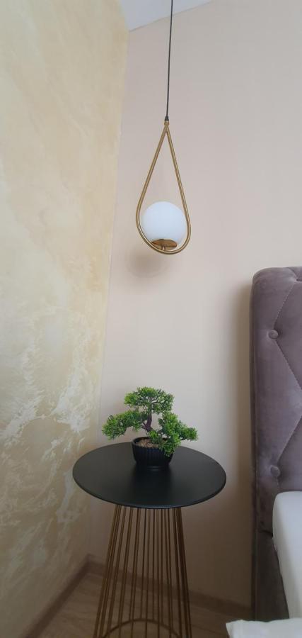 Apartment Alios Lux Brasov Luaran gambar